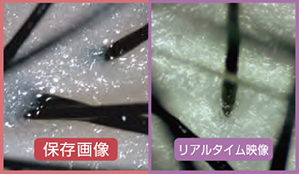 おすすめポイント２
